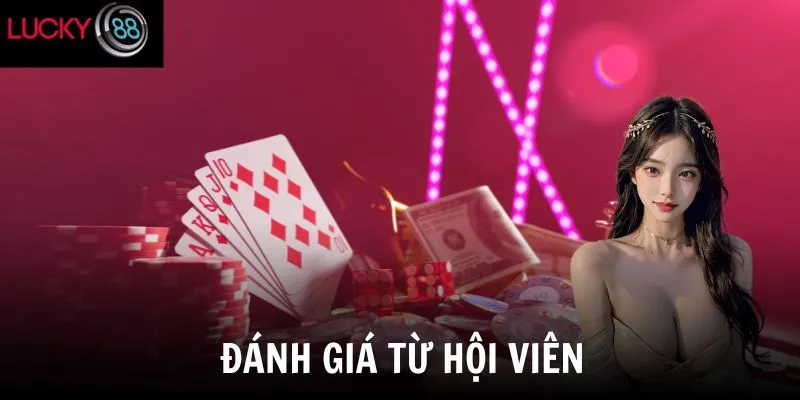 Đánh giá từ hội viên